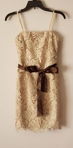 Gorgeous Cache Dress Sz O Beige Lace Dress